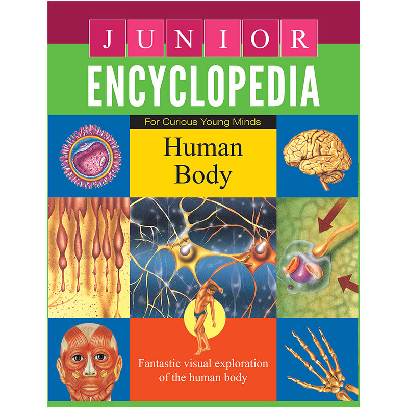 Junior Encyclopedia Human Body