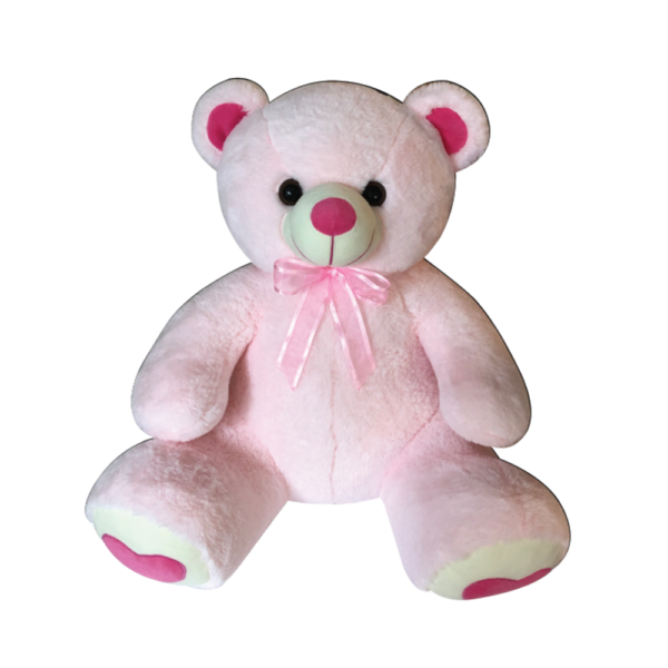 Teddy Bear (Pink) - 70 CM